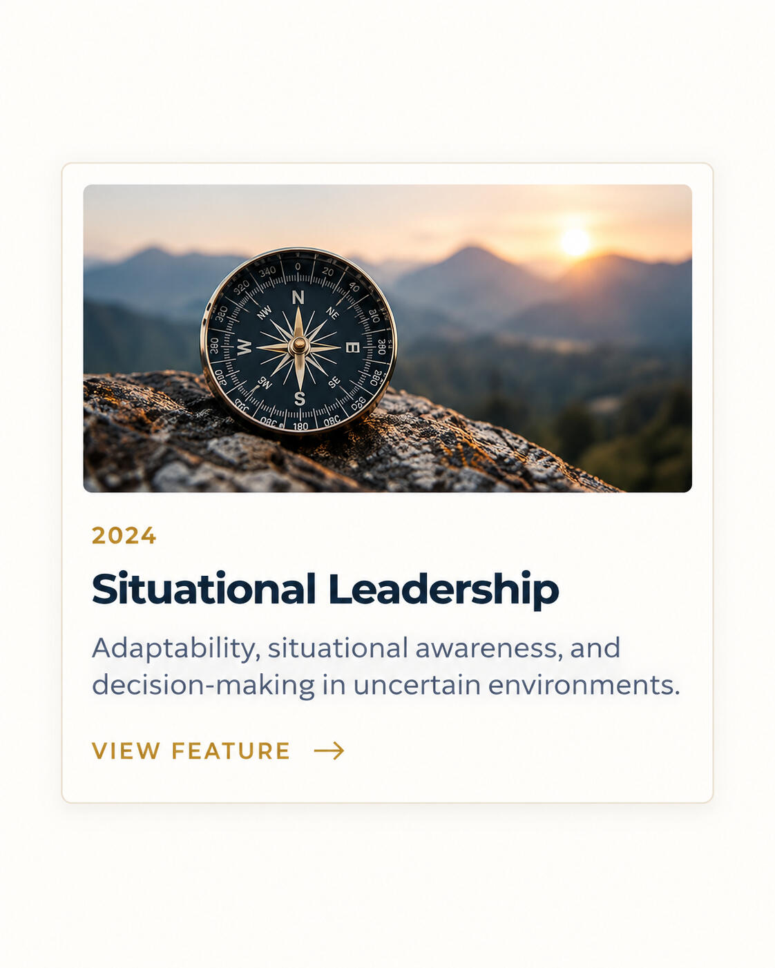 Situational Leadership →